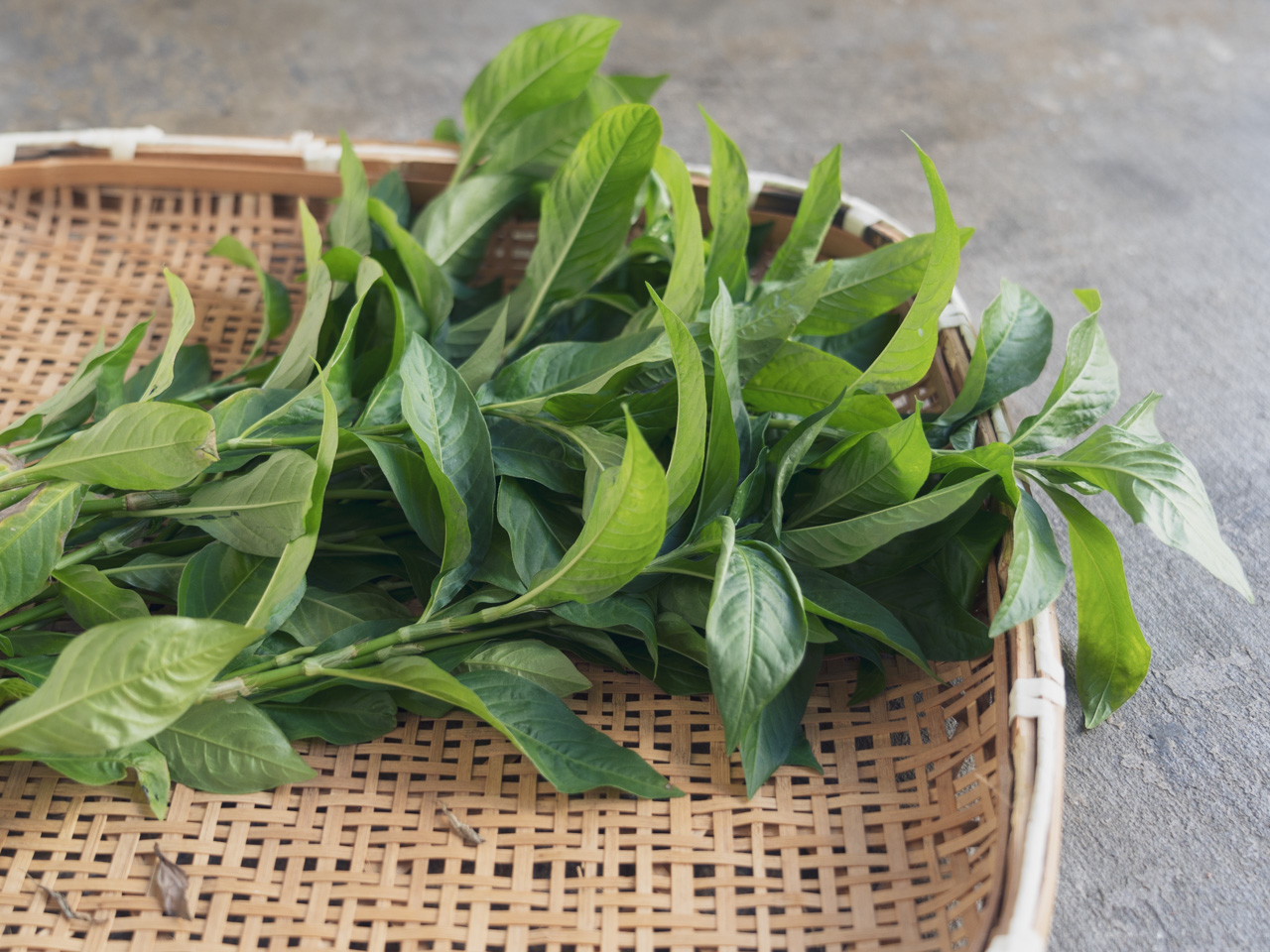 藍染　生葉染