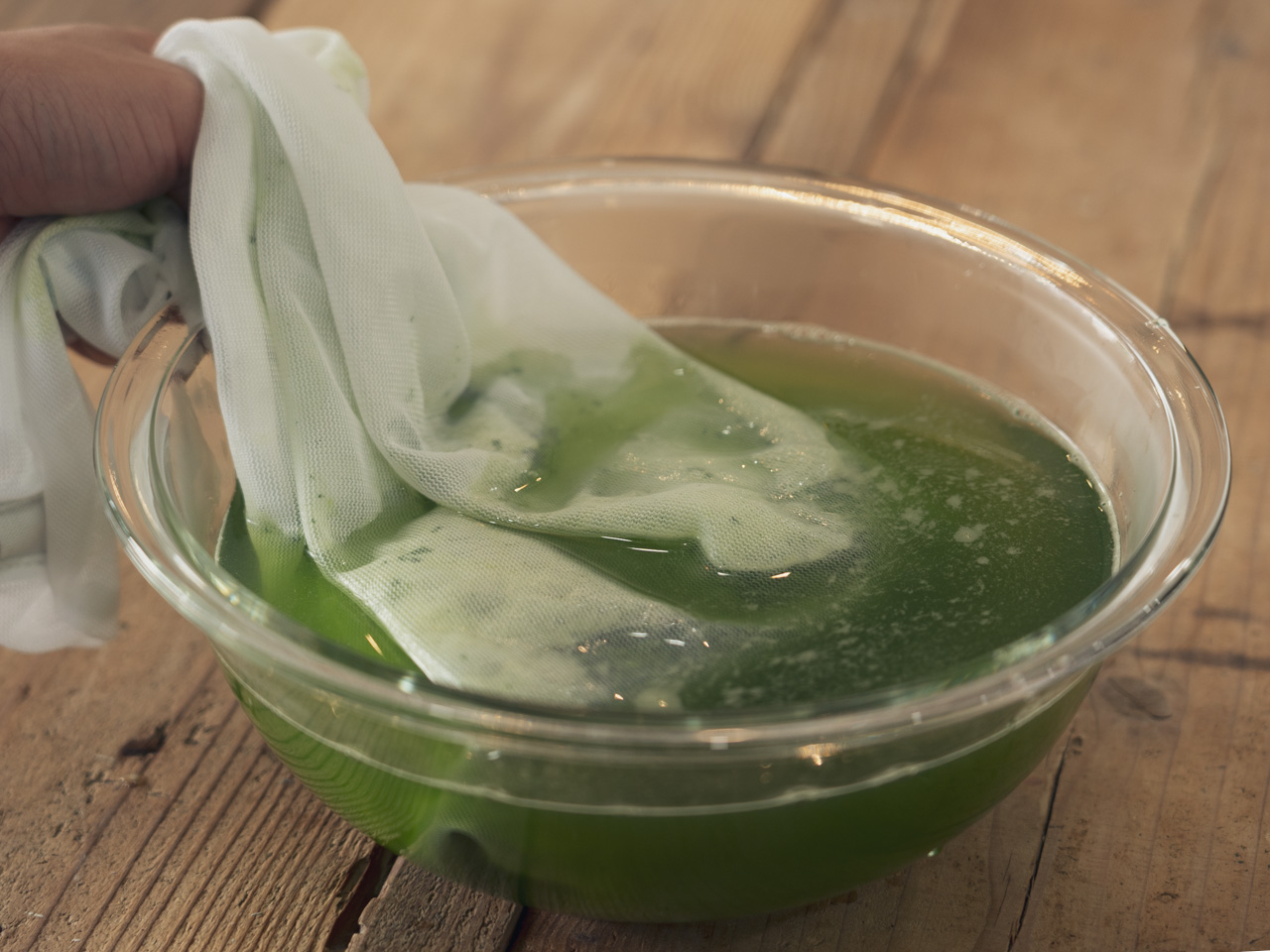 plantdye indigodye