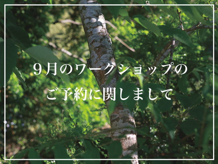 9月ワークショップのご予約に関しまして