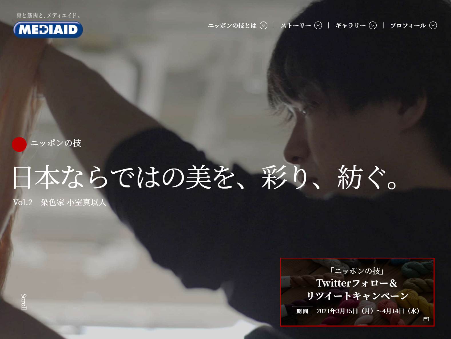 MEDIAID ニッポンの技