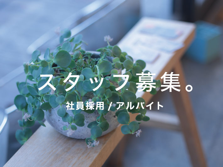 スタッフ募集（社員採用） ※終了いたしました。